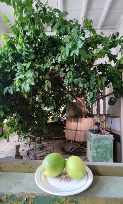 Прикрепленное изображение: zDtUK6Xvrvw.jpg